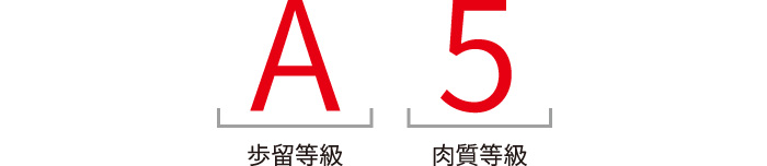 A5等級の説明