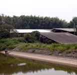 井相田牧場