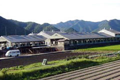 川岸牧場1