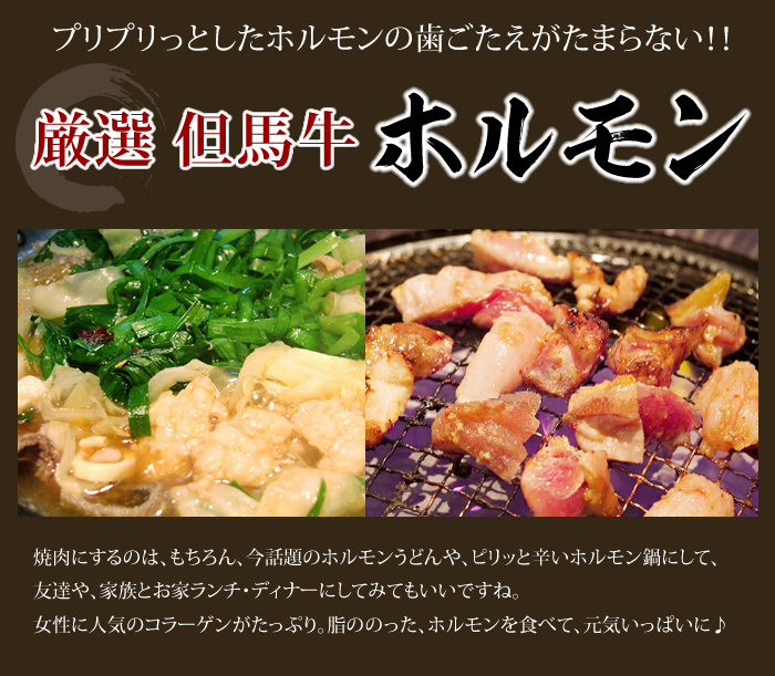厳選但馬牛ホルモン
