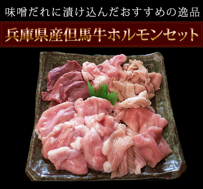 兵庫県産但馬牛ホルモンセット