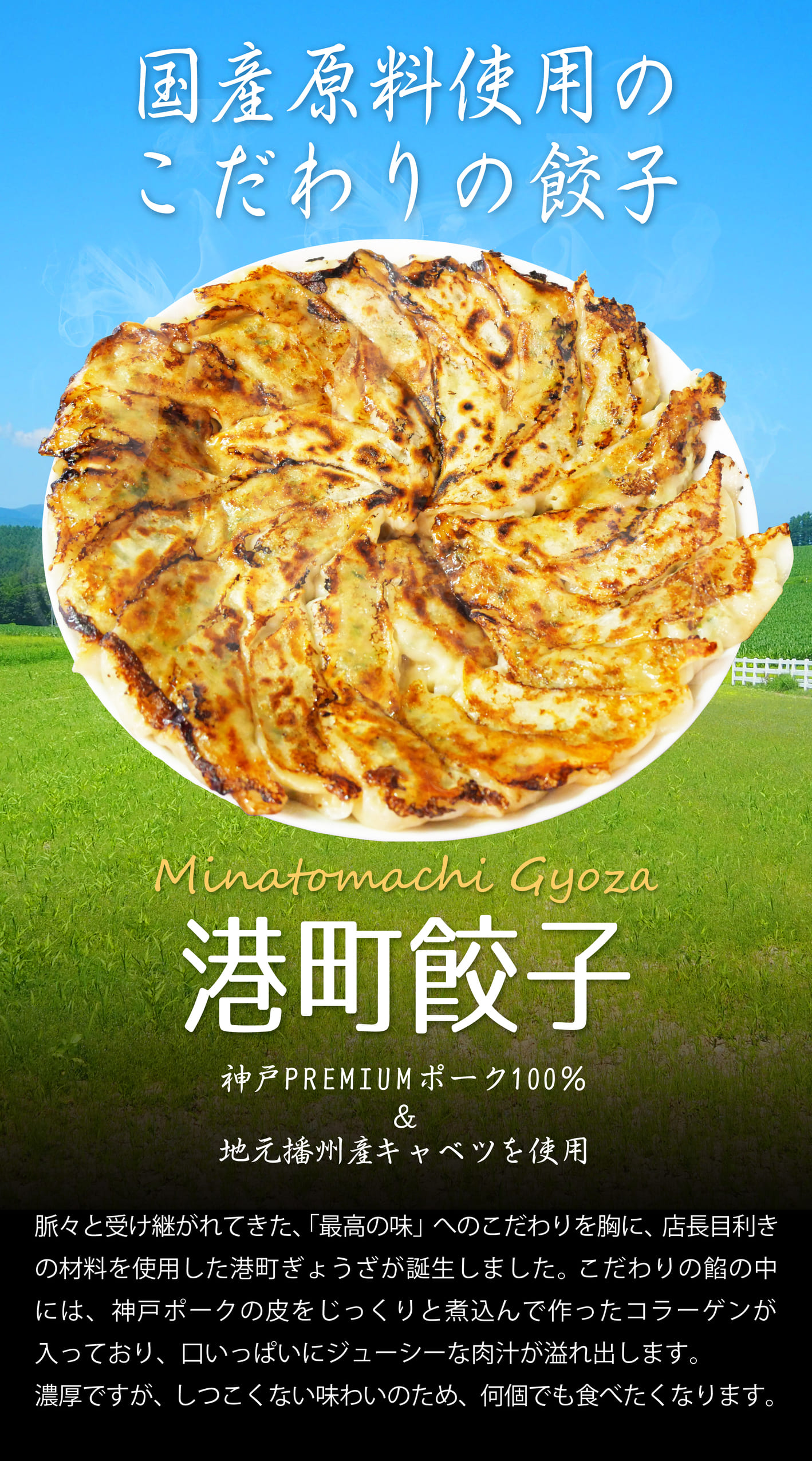 餃子カテゴリーページ画像