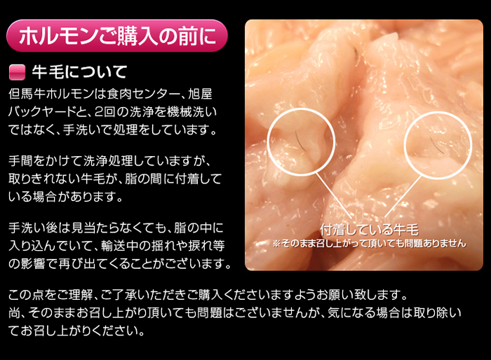 牛毛について