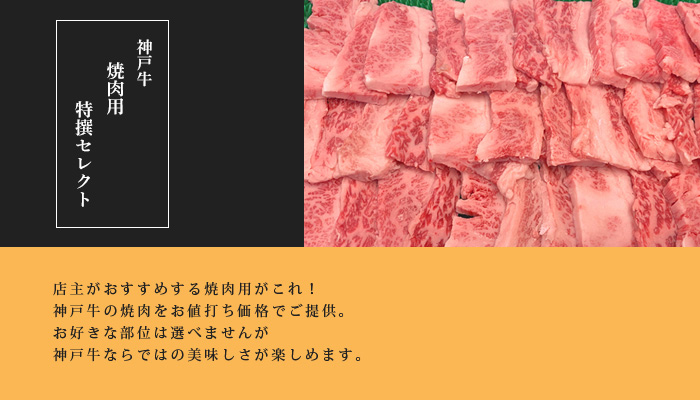 神戸牛焼肉用 特撰セレクト