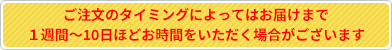 この商品は2024年1月8日以降の発送となります