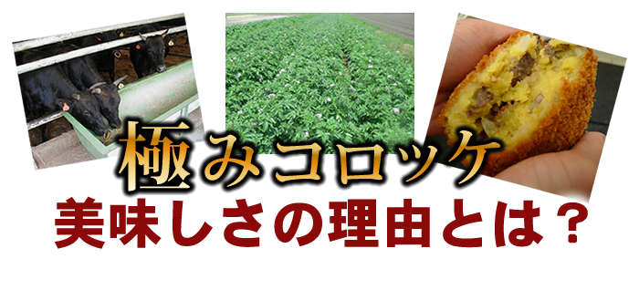 極みコロッケ美味しさの理由とは