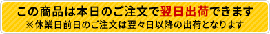 この商品はご注文の翌日に出荷できます