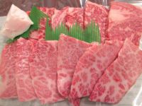 神戸牛焼肉用特選セレクト（並）