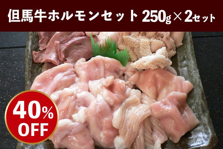兵庫県産但馬牛ホルモンセット 250g×2セット